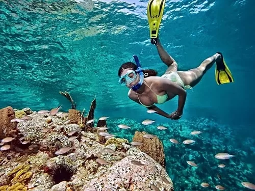 Snorkeling Kitesurfing holidays Genadines 2