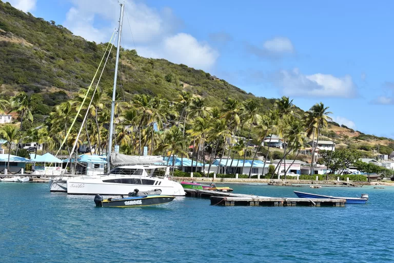 Boats and palms 2