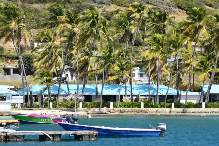 Boats and palms