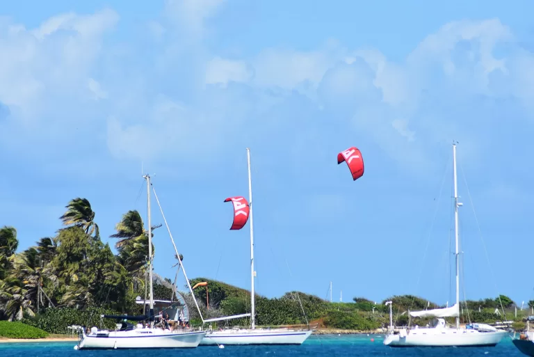 SAK Kites and Cats