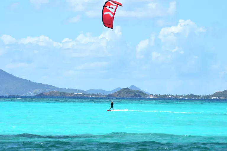 SAK kite 1